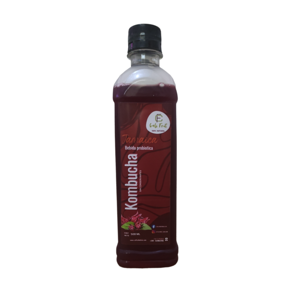 Kombucha sabor a Jamaica 500 ml. artesanal sin conservantes