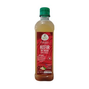 Kefir de agua sabor Arandano y Jengibre cont. 500 ml artesanal